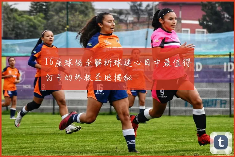 16座球场全解析球迷心目中最值得打卡的终极圣地揭秘