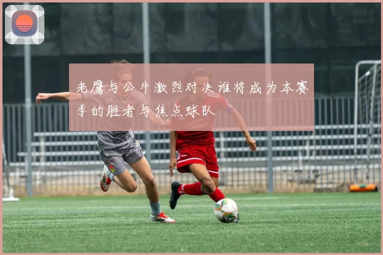 老鹰与公牛激烈对决谁将成为本赛季的胜者与焦点球队