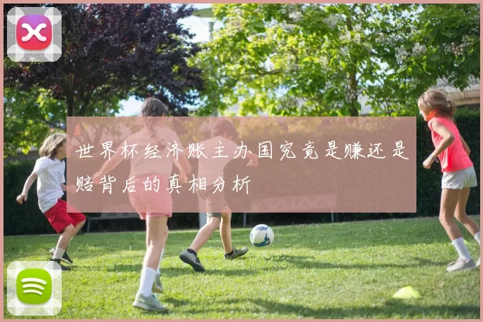 世界杯经济账主办国究竟是赚还是赔背后的真相分析