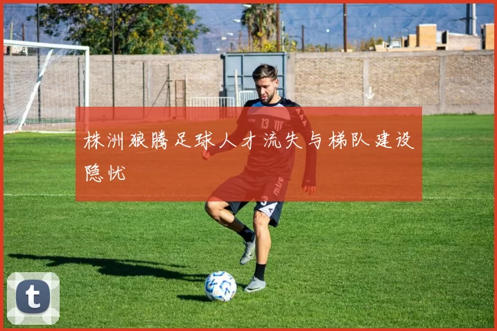 株洲狼腾足球人才流失与梯队建设隐忧