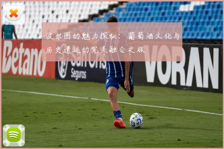 波尔图的魅力探秘：葡萄酒文化与历史遗迹的完美融合之旅