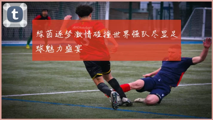 绿茵逐梦激情碰撞世界强队尽显足球魅力盛宴