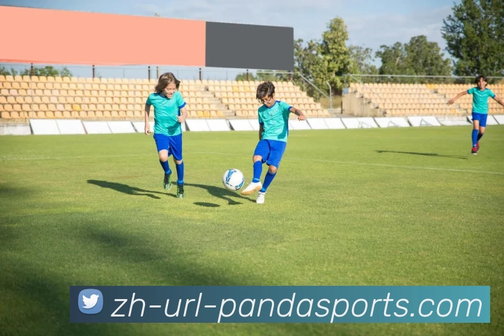 熊猫体网站发展历程